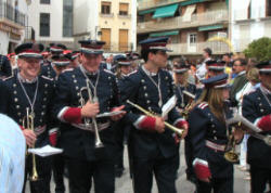 Domingo de Ramos 2005