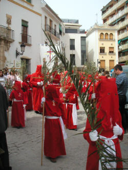 Domingo de Ramos 2005