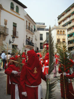 Domingo de Ramos 2005