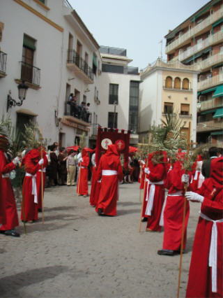 Domingo de Ramos 2005